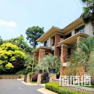  千岛湖纯爱美墅 4居/5居别墅1晚（含早）