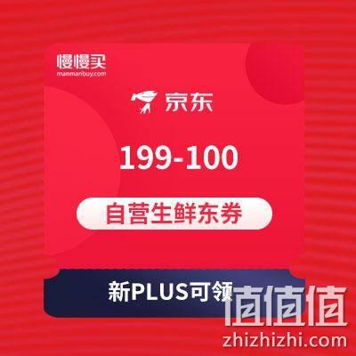  自营生鲜全品类 199-100东券