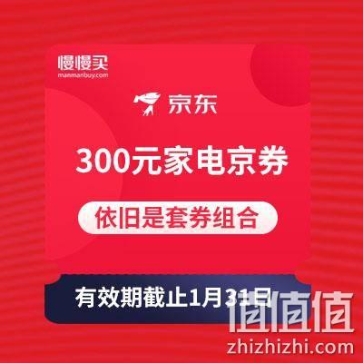  继续领 300元家电京券 组合套券 京东商城
