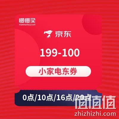  多个整点抢 199-100 京东小家电类东券