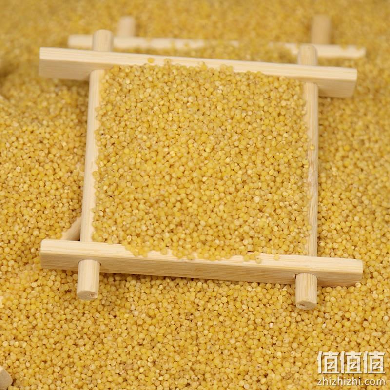  加园东北小黄米粥新米朝阳农家五谷月子食用吃的米杂粮非山西小米 400g	