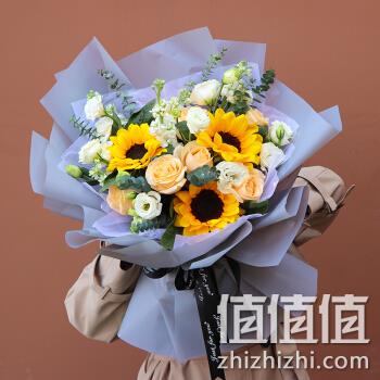 初卉 同城配送 向日葵鲜花花束