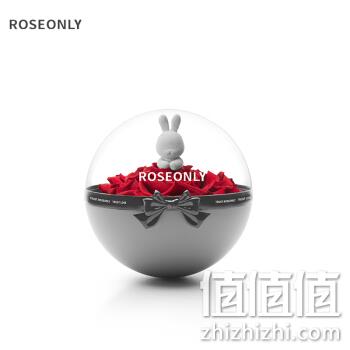  ROSEONLY 玫瑰永生花礼盒