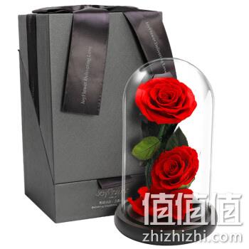  RoseBox 同城配送 永生花玻璃罩礼盒