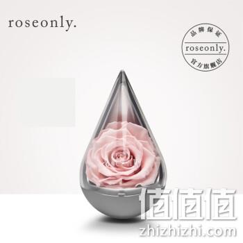  ROSEONLY 水滴永生玫瑰花礼盒