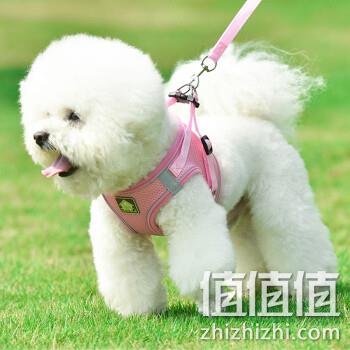  pokebear宠物牵引绳