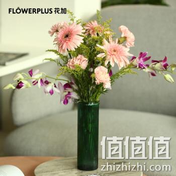  沐春风主题花