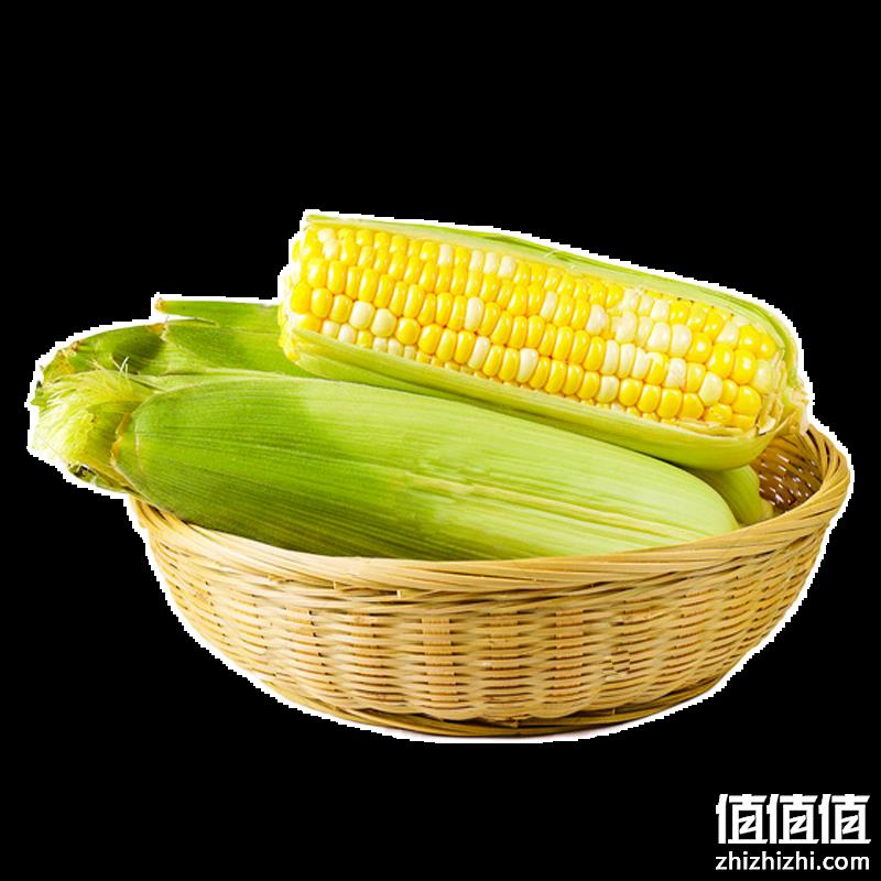  张小壮 水果玉米   精选4.5-5斤*2件