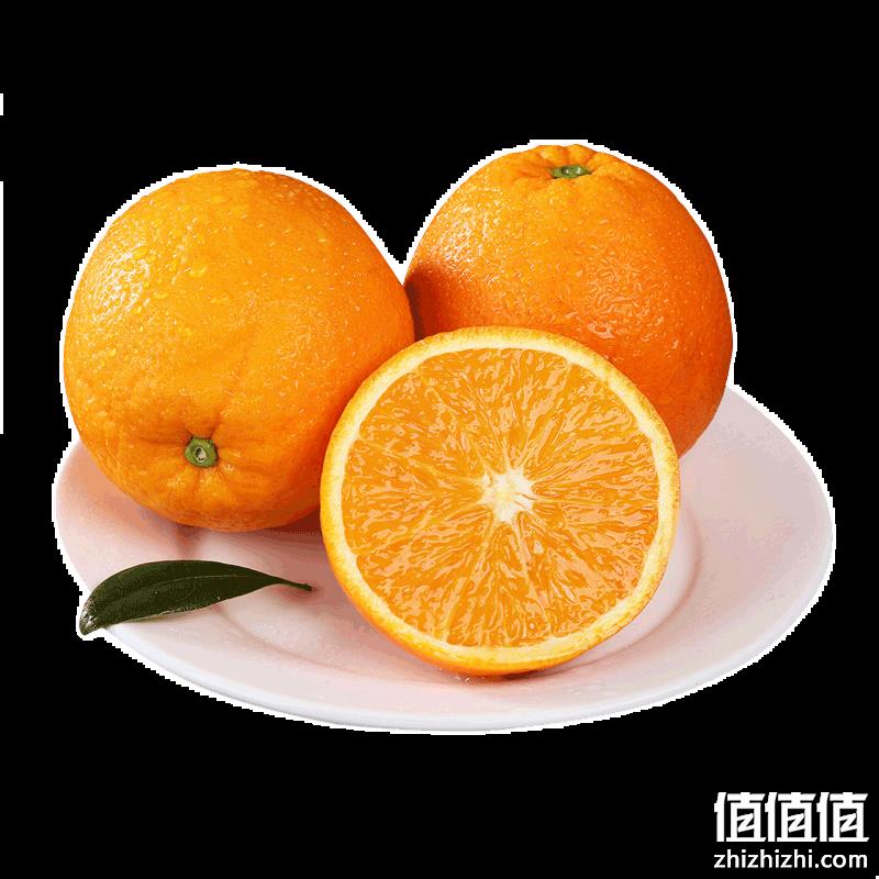  夏橙小橙子高山橙子 小果 5斤