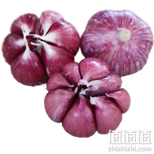  新蒜紫皮湿蒜  多瓣蒜整箱5斤  净重4.5-5斤