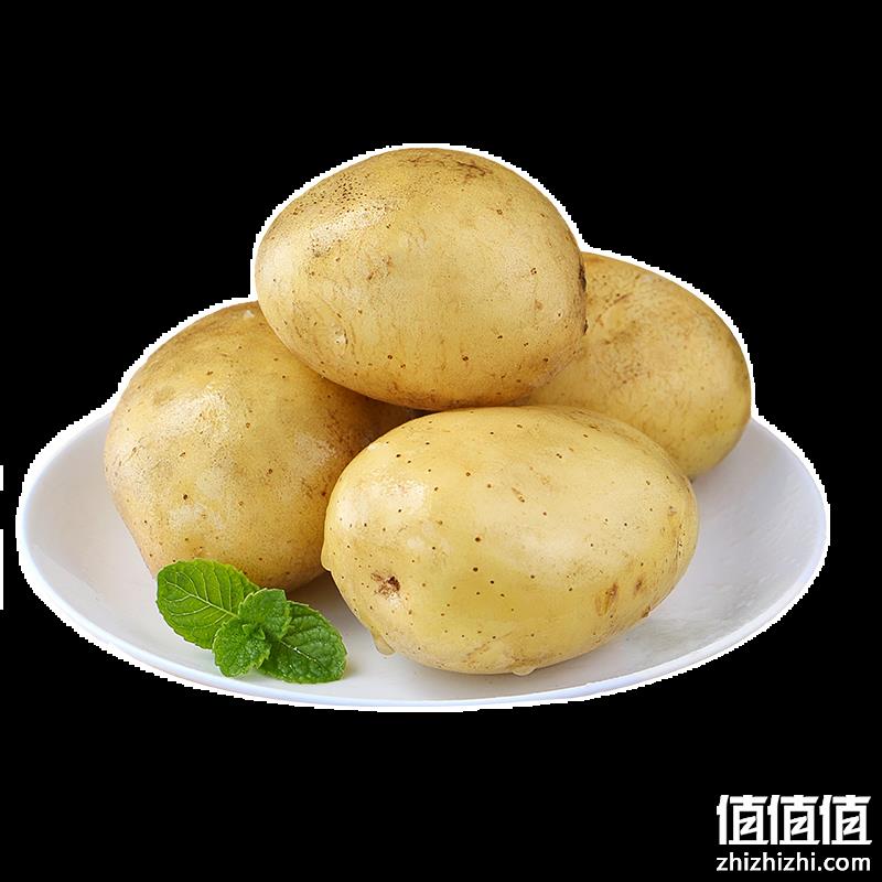 农家小土豆马铃薯 带箱5斤 净重4.5