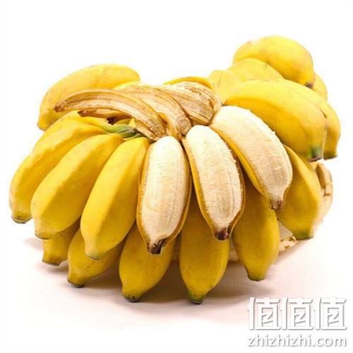  贵州安龙小米蕉  整箱5斤