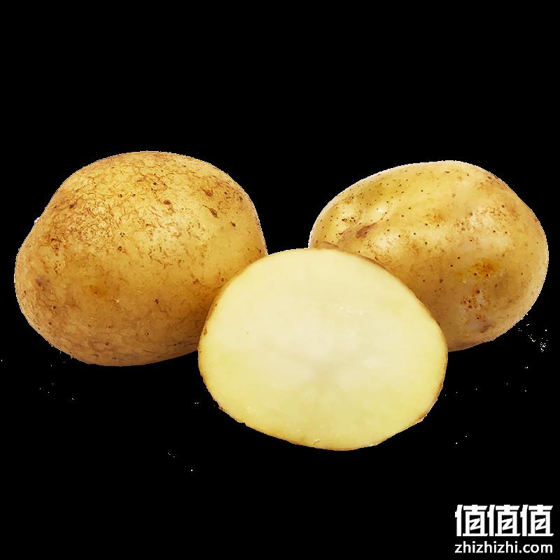  精选黄皮小土豆 土豆  整箱5斤装 净重4.5斤