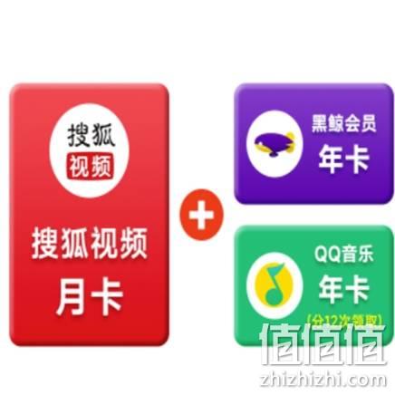  搜狐 联合会员 QQ音乐年卡+黑鲸会员年卡+搜狐视频月卡 需按月领取