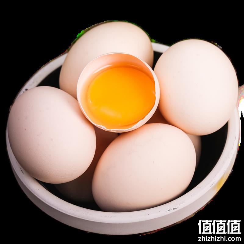  华北强 正宗土鸡蛋水 6枚