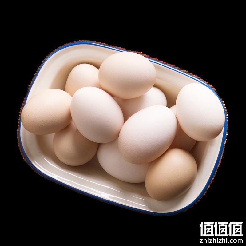  黄河畔 新鲜土鸡蛋初生蛋柴鸡蛋 10枚装