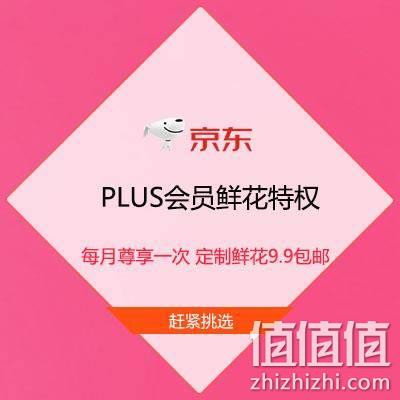  促销活动：京东 PLUS会员鲜花特权 每月尊享一次 9.9包邮定制鲜花/绿植