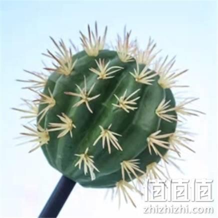  mini 汽车天线装饰