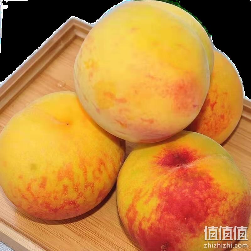  7月27日极速版白菜汇总：砀宁果品 中大果黄桃3斤 3.9元、蓝都 菠萝啤/雪橙/青柠 320ml*6罐 5.9元