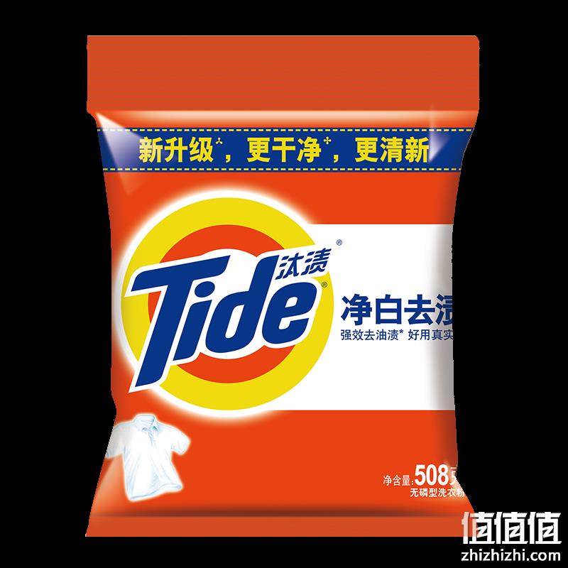  Tide 汰渍 净白去渍洗衣粉 508g  TJ