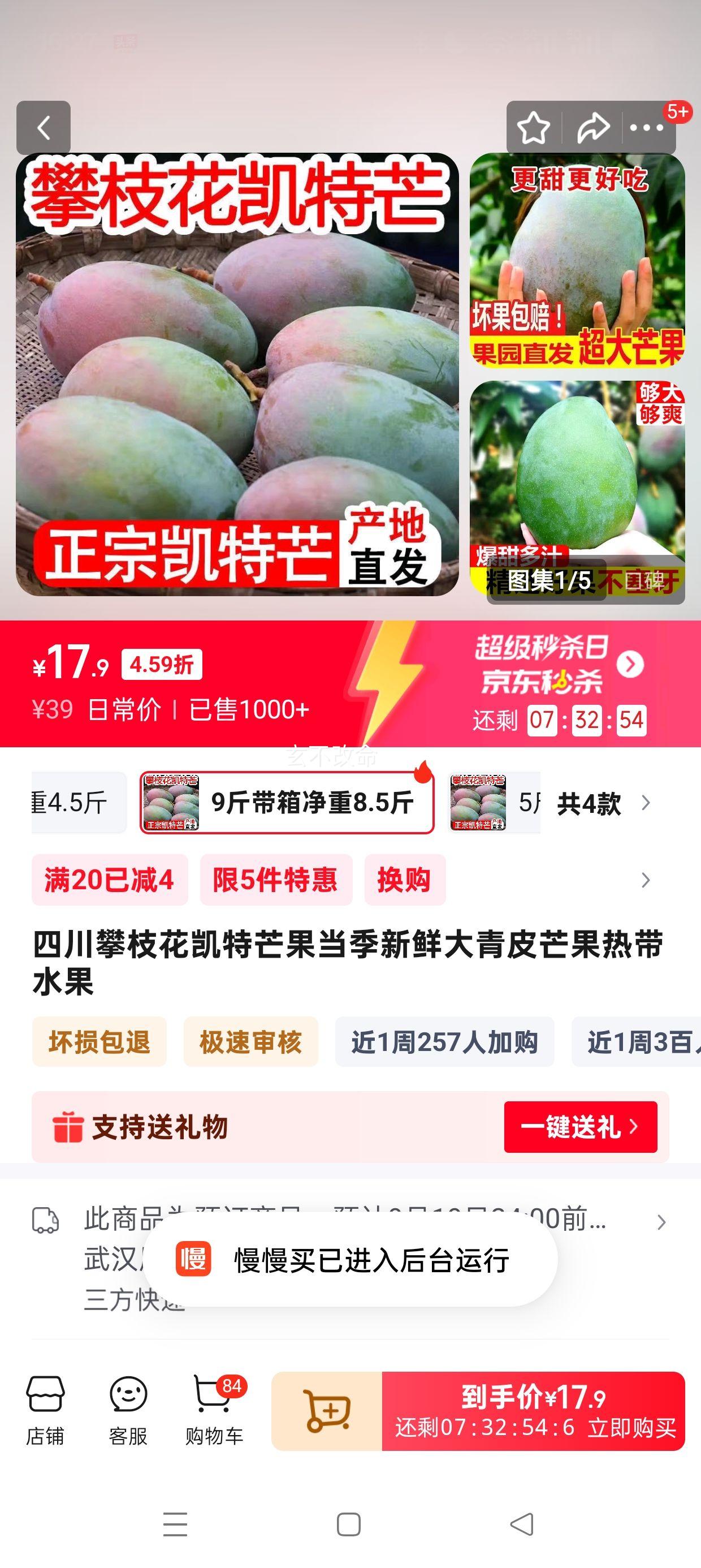 四川攀枝花凯特芒果9斤带箱 净重8.5斤单果250g起优惠证明