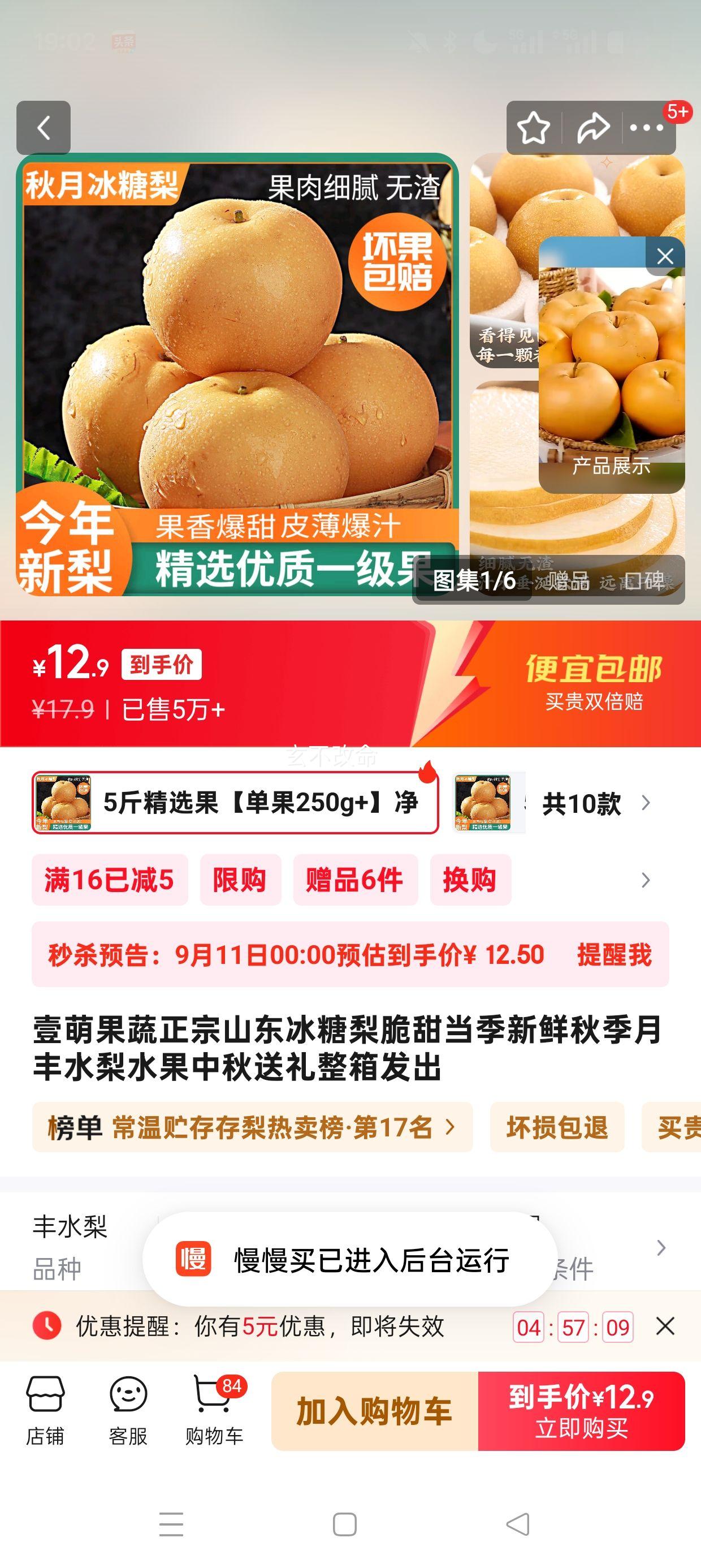 壹萌果蔬 正宗山东冰糖梨 5斤精选果【单果250g+】净4.5斤优惠证明