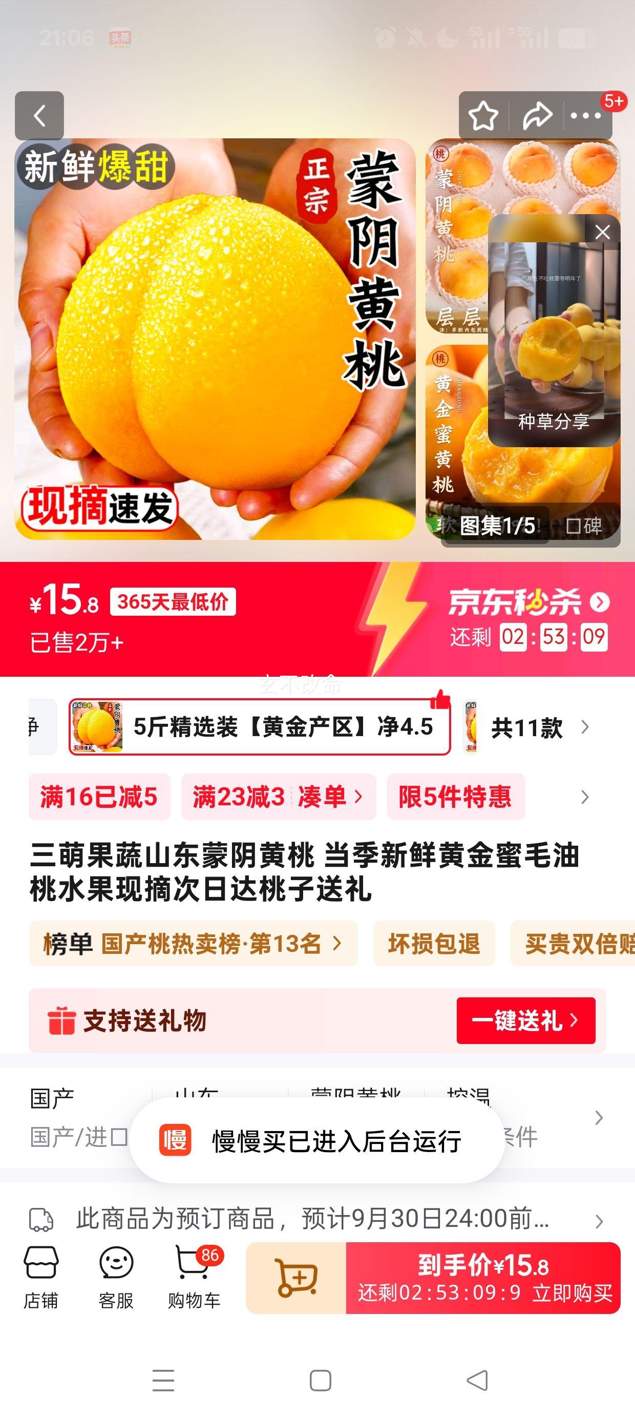 三萌果蔬 山东蒙阴黄桃 5斤精选装【黄金产区】净4.5斤优惠证明