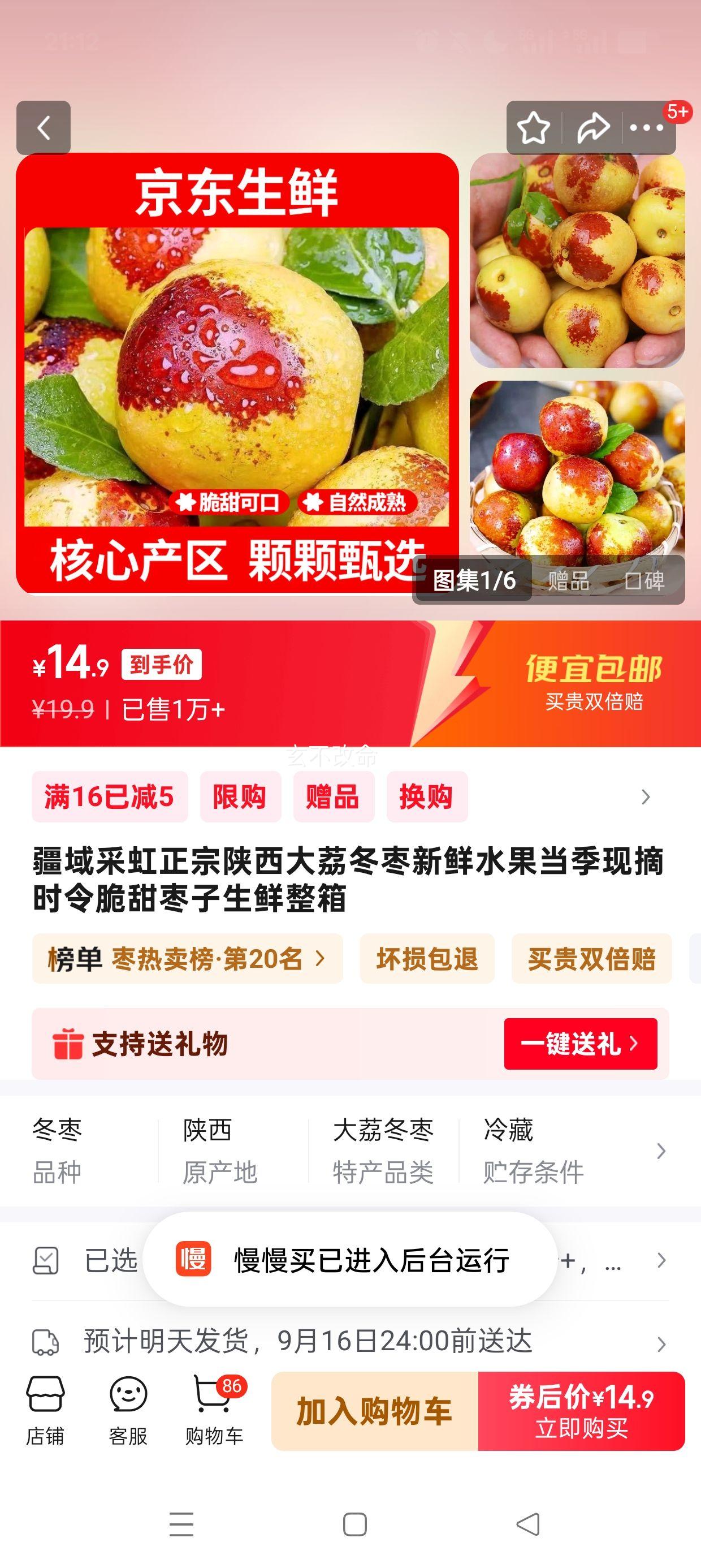 疆域采虹 正宗陕西大荔冬枣 特选5斤超值实惠装 净重约4.0斤+优惠证明