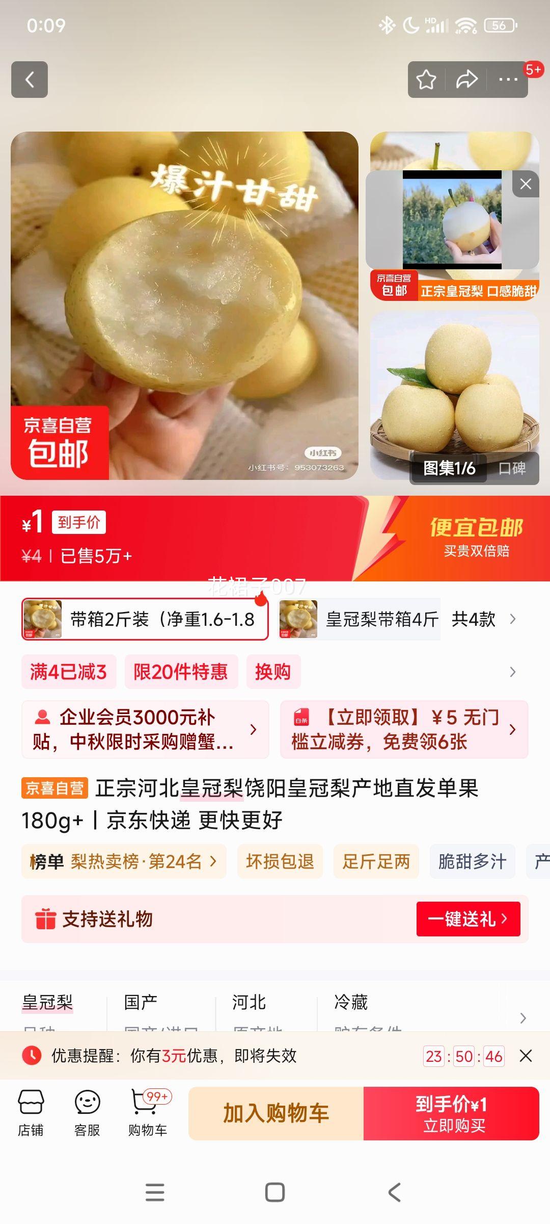 河北皇冠梨 带箱2斤装（净重1.6-1.8斤）单果180g+优惠证明