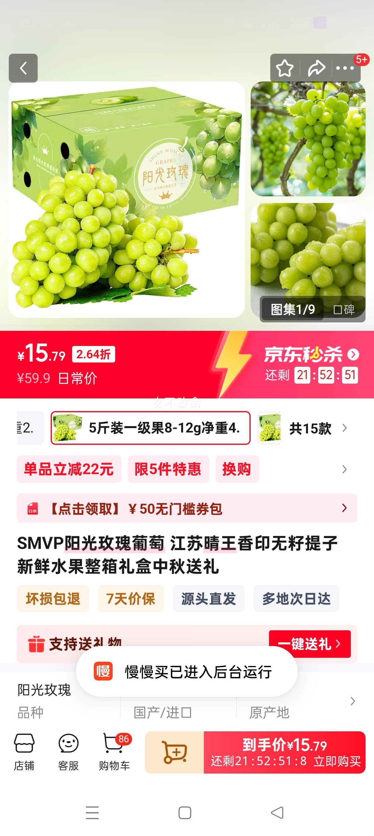 SMVP阳光玫瑰葡萄礼盒 5斤装一级果8-12g净重4.5斤+优惠证明