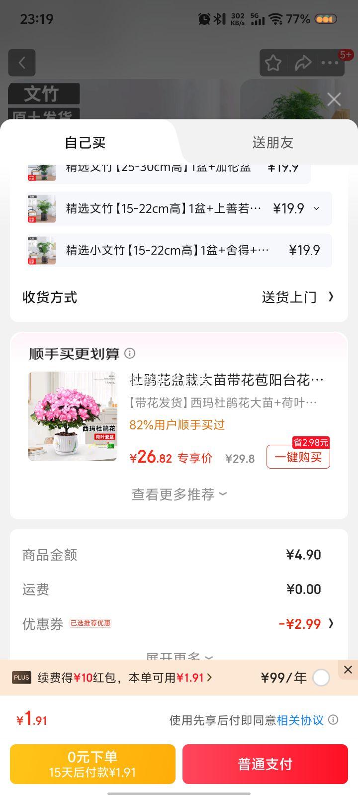 文竹盆栽 15-22cm高 2盆+育苗盘优惠证明