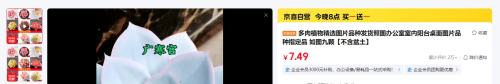 20点：多肉植物 如图九颗优惠证明