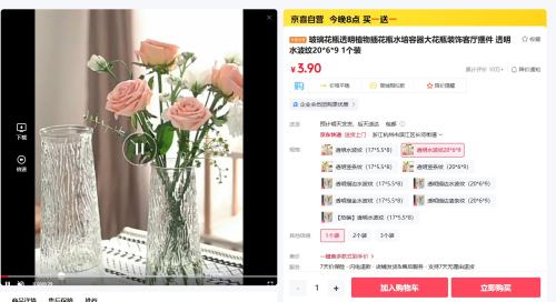 20点：玻璃花瓶 透明水波纹20*6*9 1个装（买一送一）优惠证明