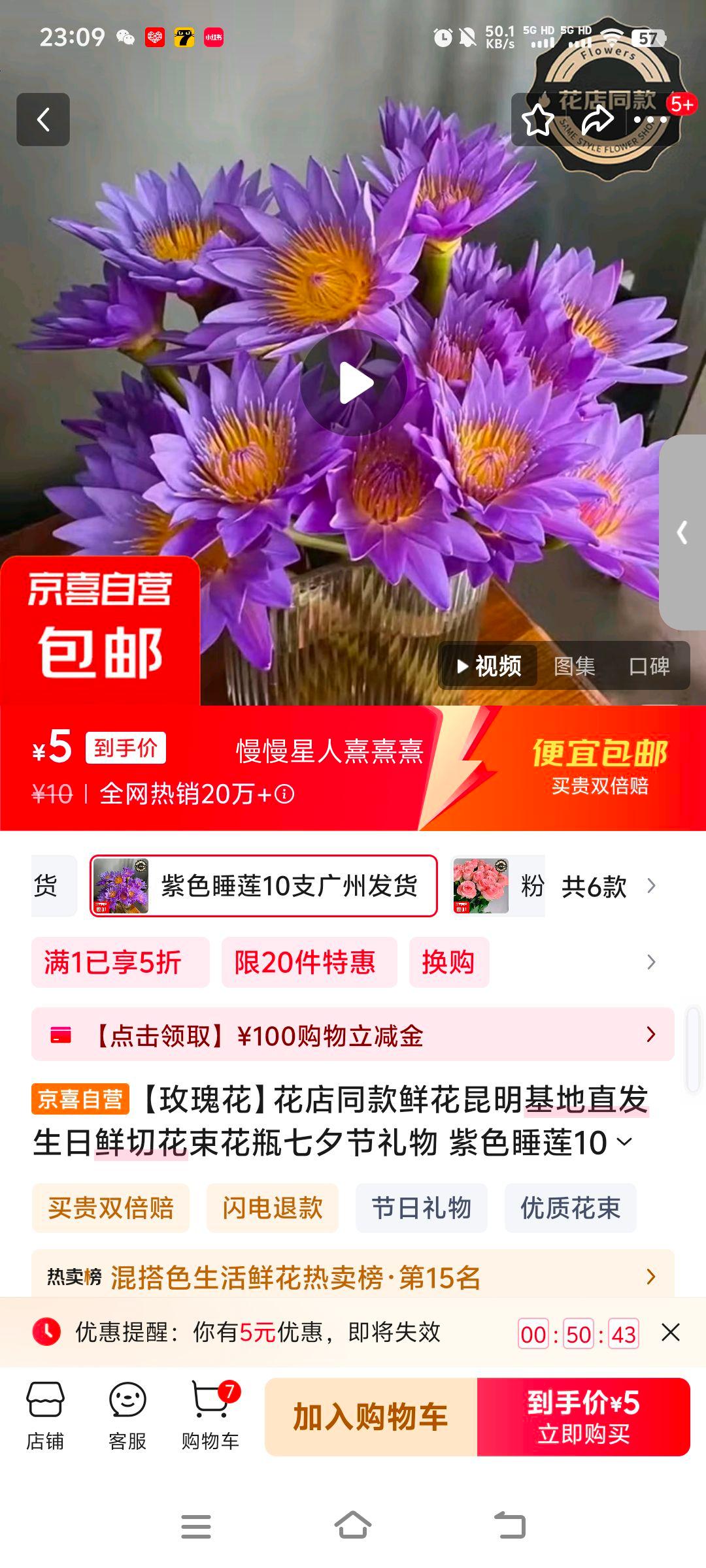 【玫瑰花】花店同款鲜花昆明基地直发生日鲜切花束花瓶七夕节礼物 紫色睡莲10支广州发货优惠证明