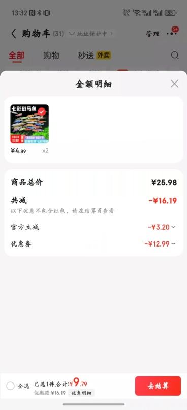 斑马鱼  大号斑马6条优惠证明
