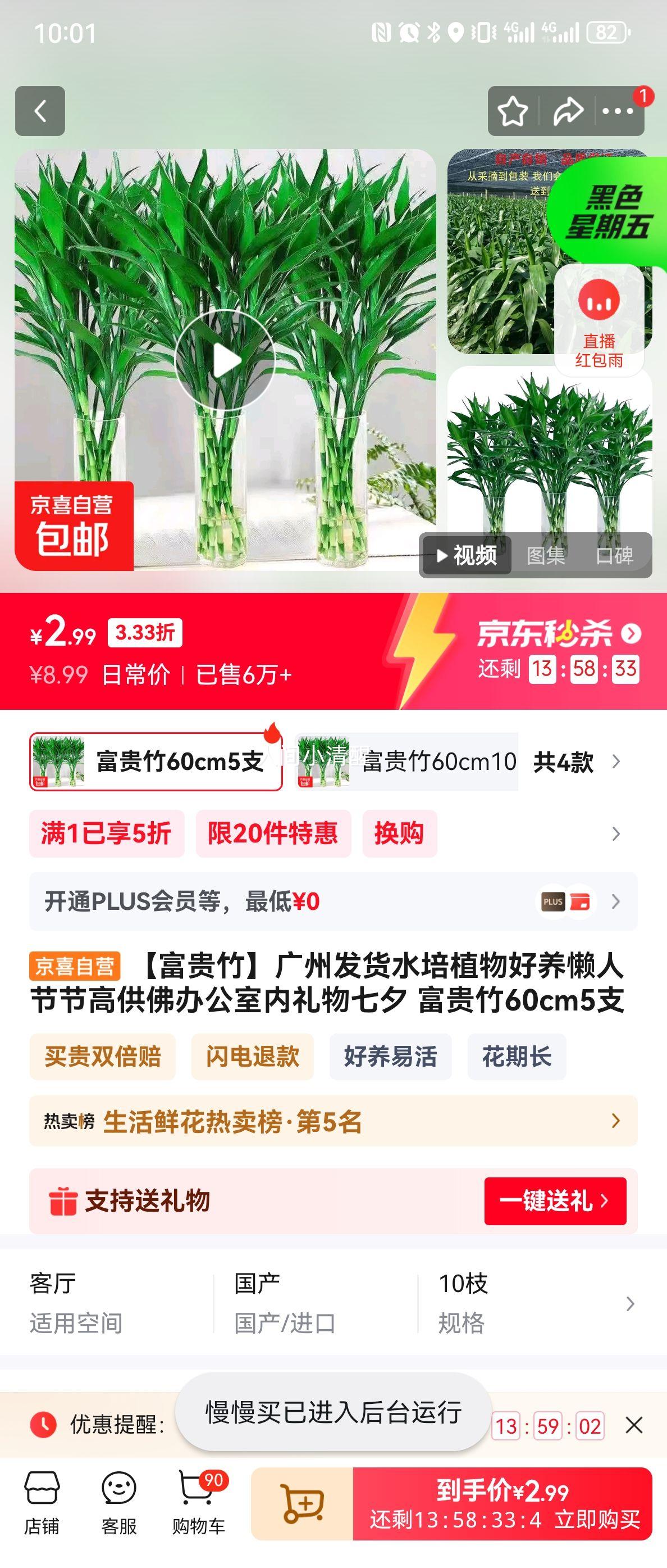 【富贵竹】广州发货水培植物好养懒人节节高供佛办公室内礼物七夕 富贵竹60cm5支优惠证明