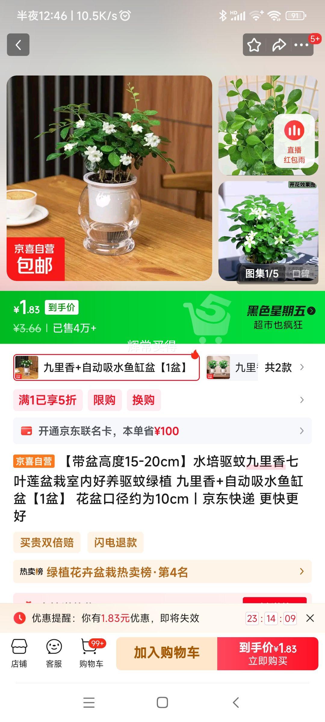 九里香盆栽送盆 1套优惠证明