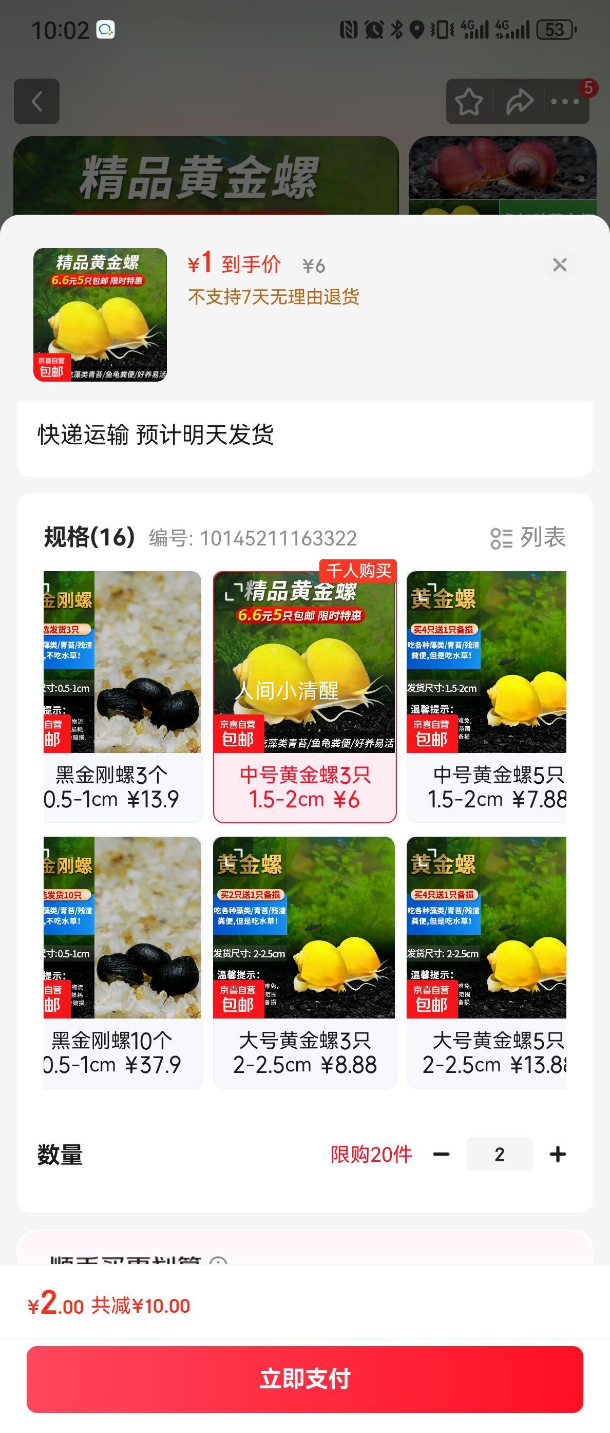 黄金螺淡水观赏螺活体清洁螺除藻清苔工具螺苹果螺不加温吃鱼龟便 中号黄金螺3只 1.5-2cm优惠证明