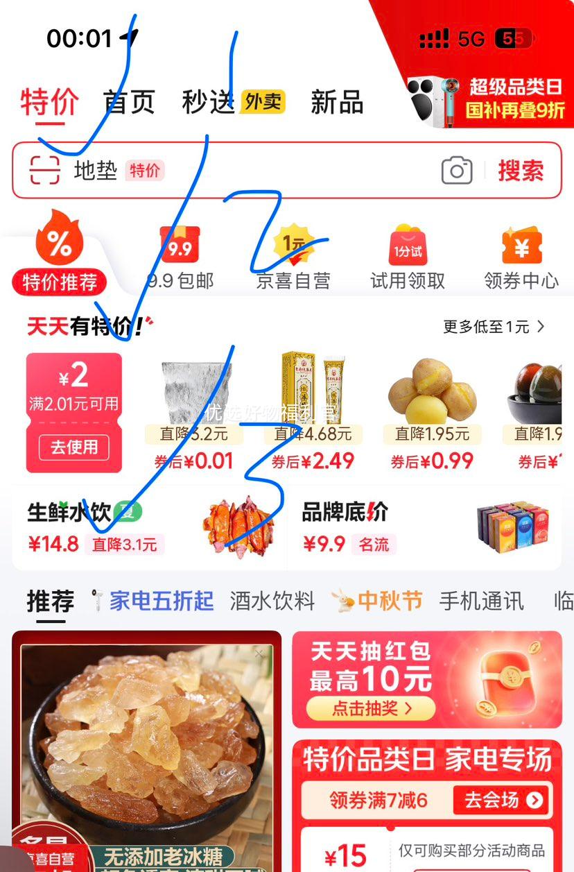 新疆若羌灰枣煲汤煮粥红枣休闲零食红枣 100g新疆灰枣优惠证明