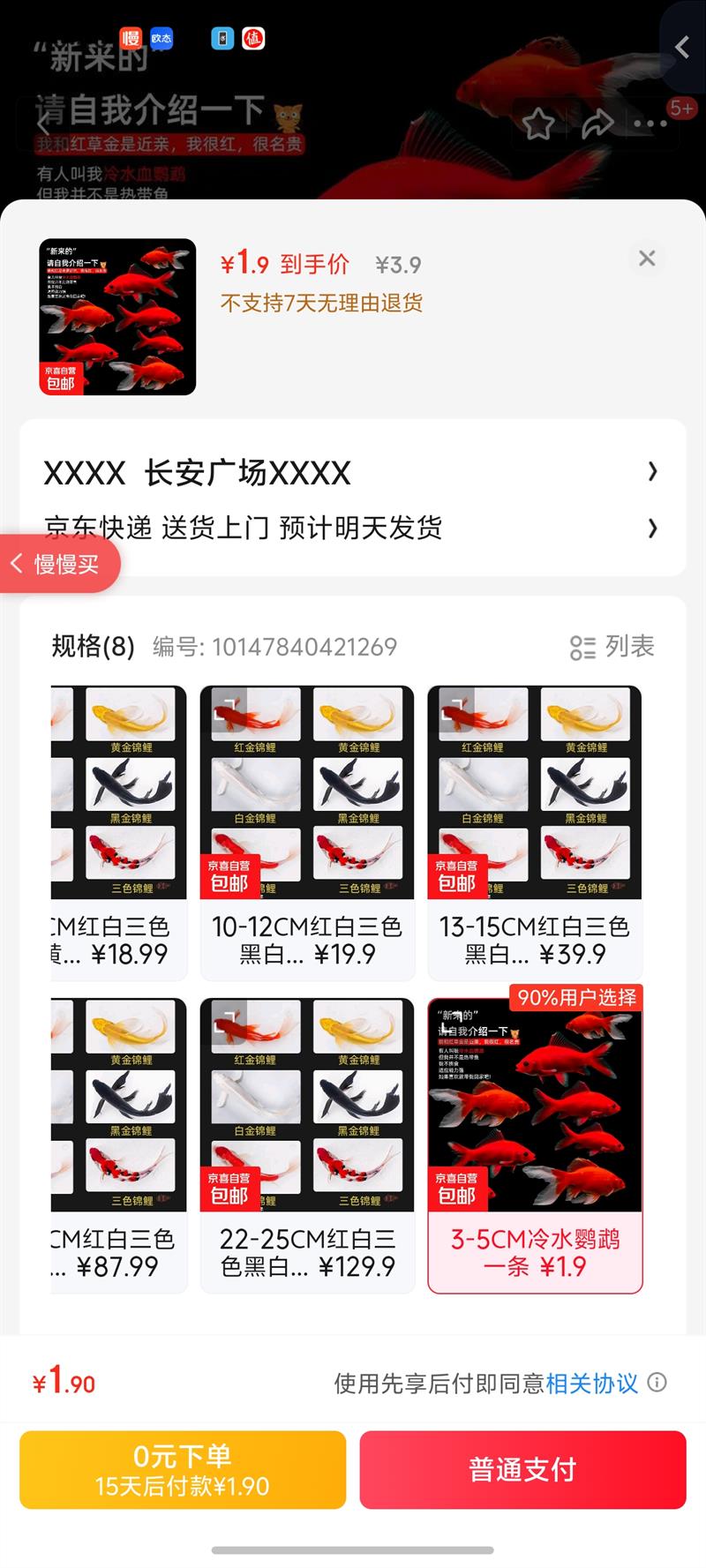 三色锦鲤鱼活体观赏鱼活鱼小型大型易养冷水淡水鱼锦鲤易活金鱼 3-5CM冷水鹦鹉一条优惠证明