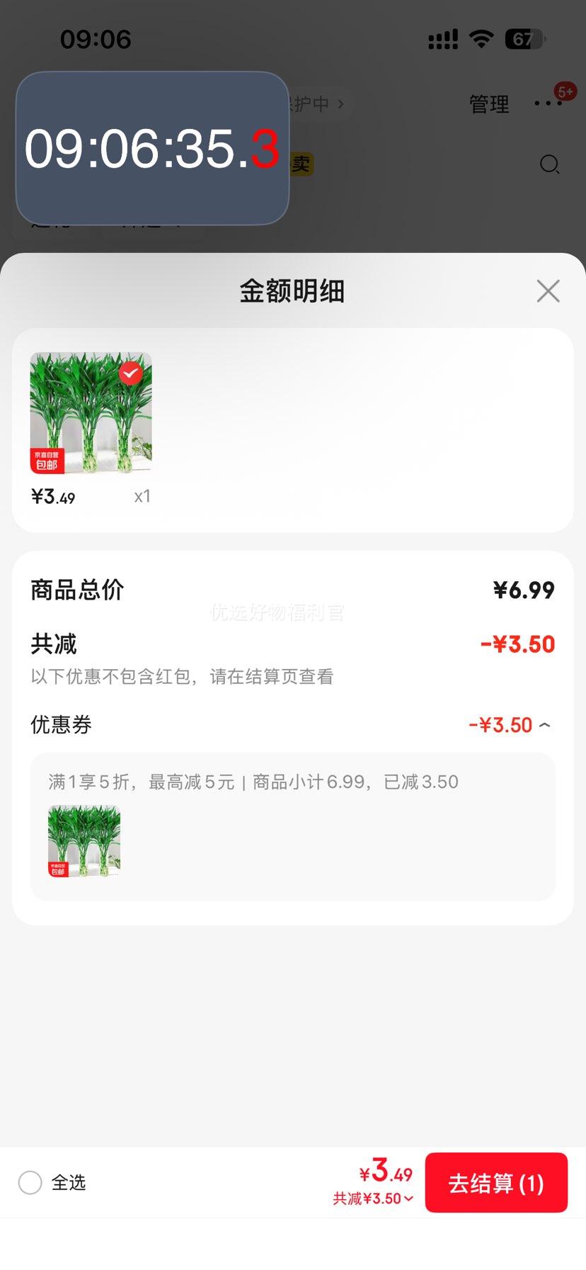 广州发货水培植物好养懒人节节高供佛办公室内礼物七夕 富贵竹60cm5支优惠证明