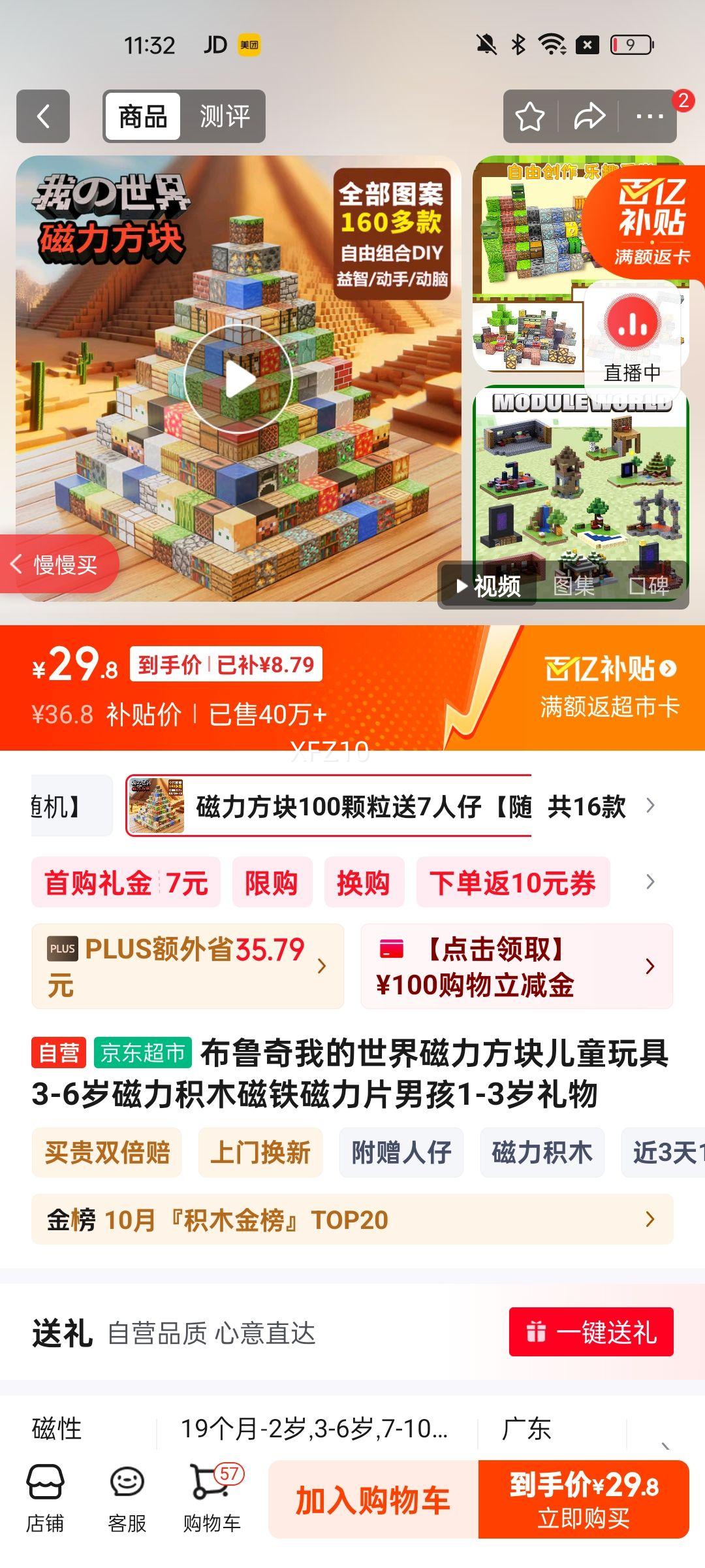 布鲁奇我的世界磁力方块儿童玩具3-6岁磁力积木磁铁磁力片男孩1-3岁礼物优惠证明