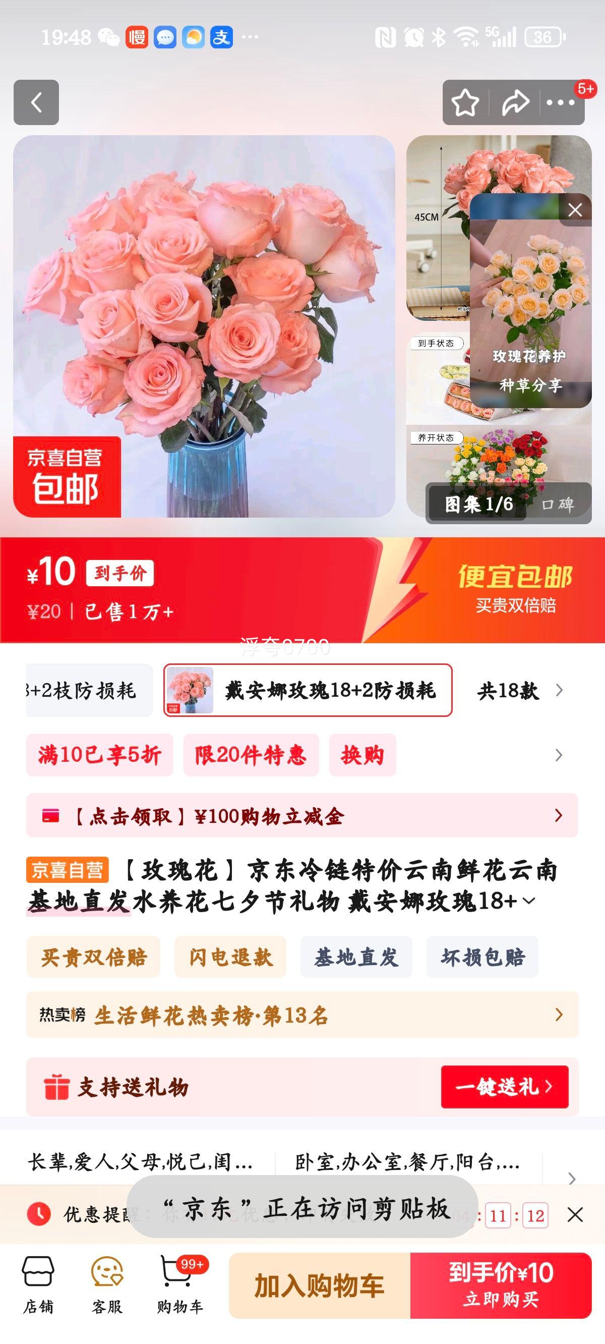 【玫瑰花】京东冷链特价云南鲜花云南基地直发水养花七夕节礼物 戴安娜玫瑰18+2防损耗优惠证明