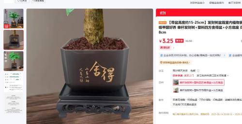 发财树盆栽室内植物客厅办公室吸甲醛好养 单杆发财树+塑料四方舍得盆+小方底座 花盆直径约8cm优惠证明