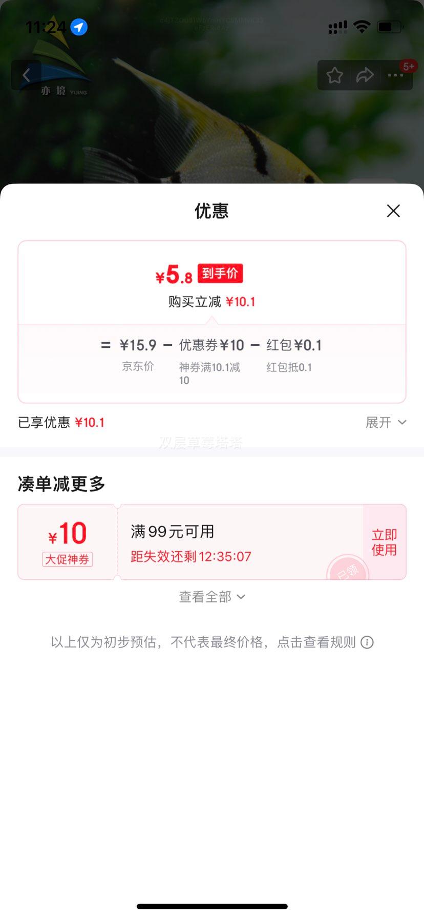 神仙鱼燕鱼小型热带鱼活体秘鲁熊猫神仙红头三色白神仙七彩神仙鱼 3-4cm熊猫神仙2条优惠证明