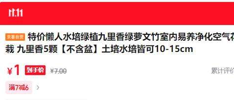 懒人水培 九里香5颗优惠证明