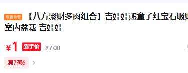八方聚财 多肉 吉娃娃 室内盆栽 优惠证明