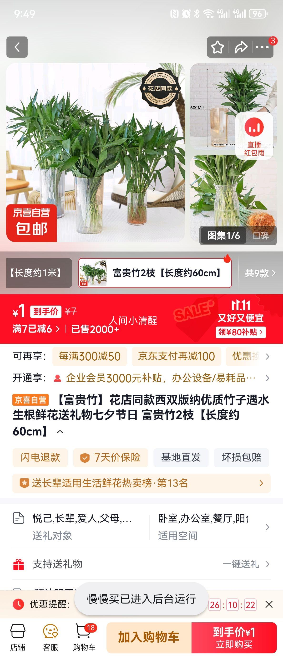 【富贵竹】花店同款西双版纳优质竹子遇水生根鲜花送礼物七夕节日 富贵竹2枝【长度约60cm】优惠证明