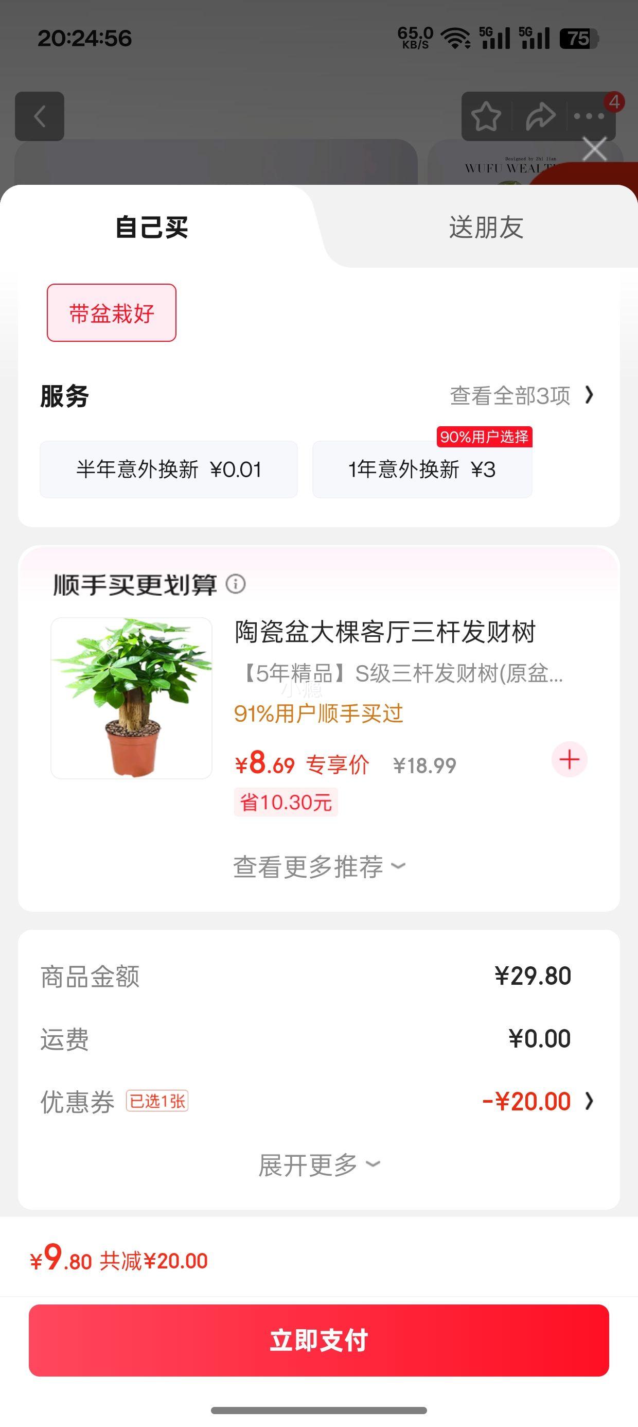喜鹊说 单杆发财树+圆球陶瓷盆+白塑托（小满贴纸+吊牌） 带盆栽好优惠证明