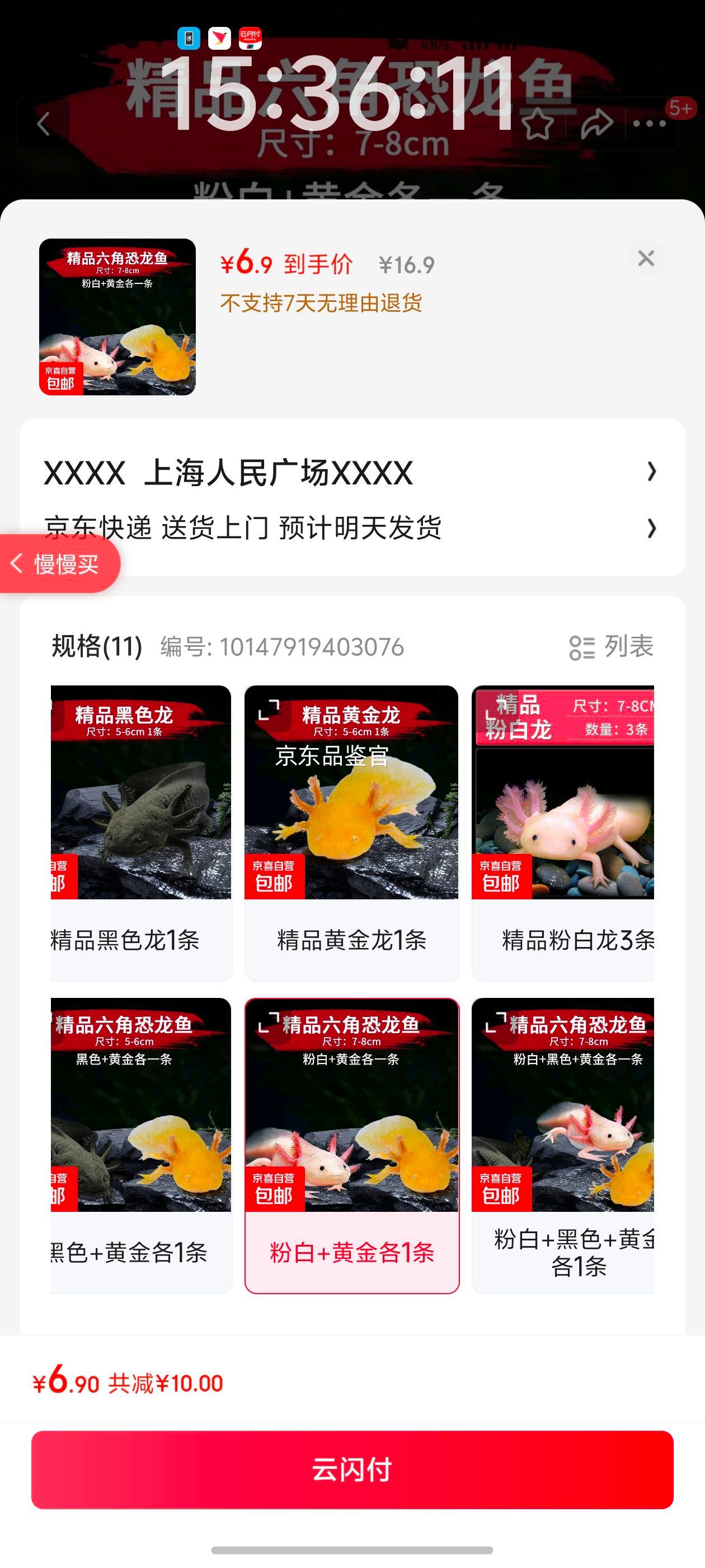 【官方推荐】六角恐龙鱼稀罕冷门小宠物观赏鱼耐活冷水鱼淡水好养 粉白+黄金各1条 【龙宝宝】4-7CM优惠证明